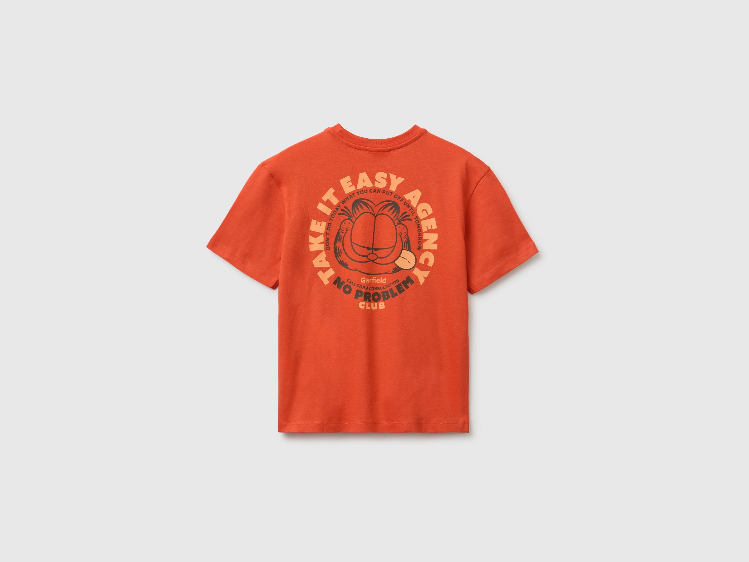 Garfield T-shirt - ucb_image_BS