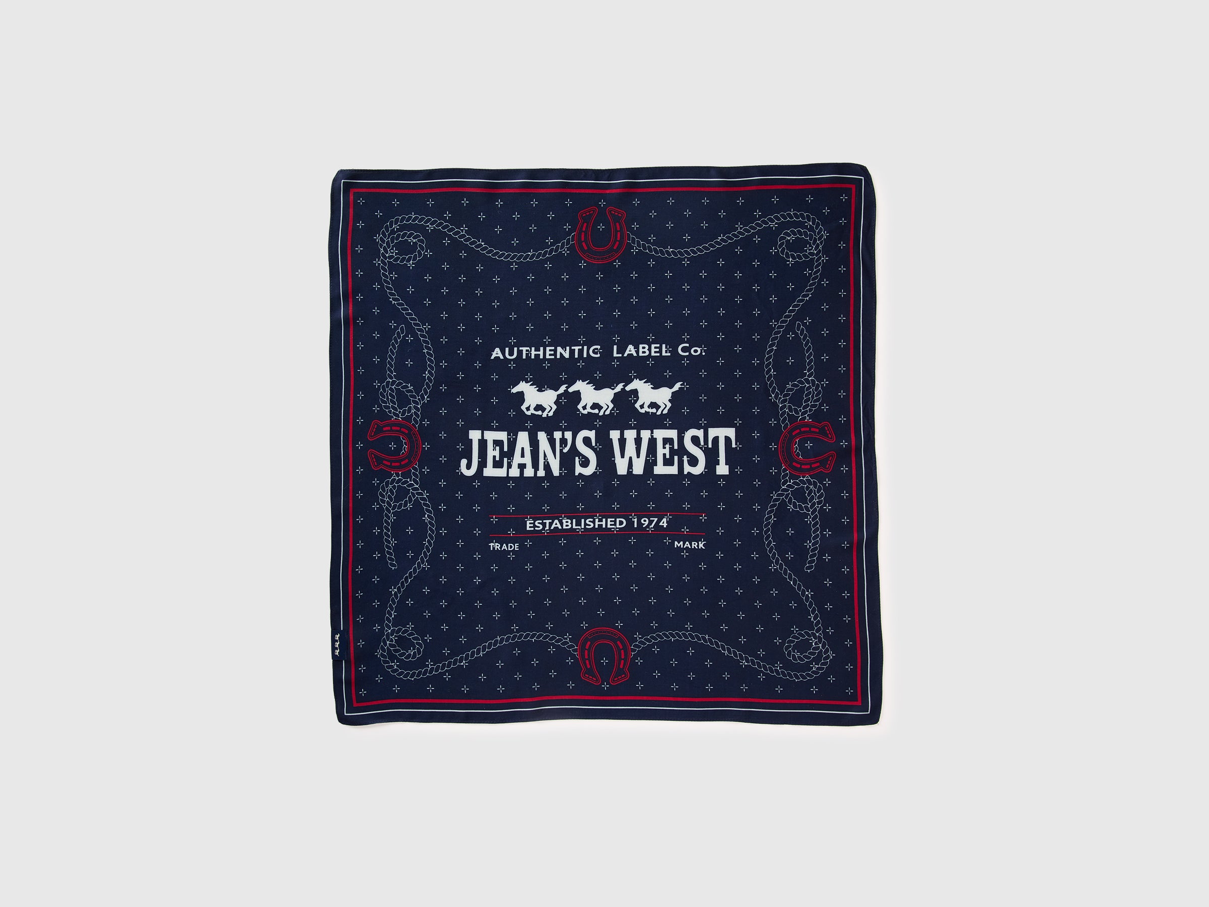 Printed viscose bandana - ucb_image_DS1