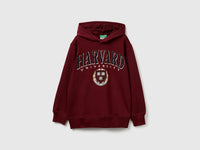 Sweat com capuz ©Harvard University - ucb_image_FS