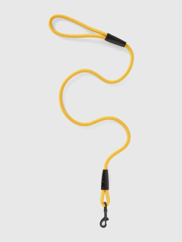 Yellow dog leash