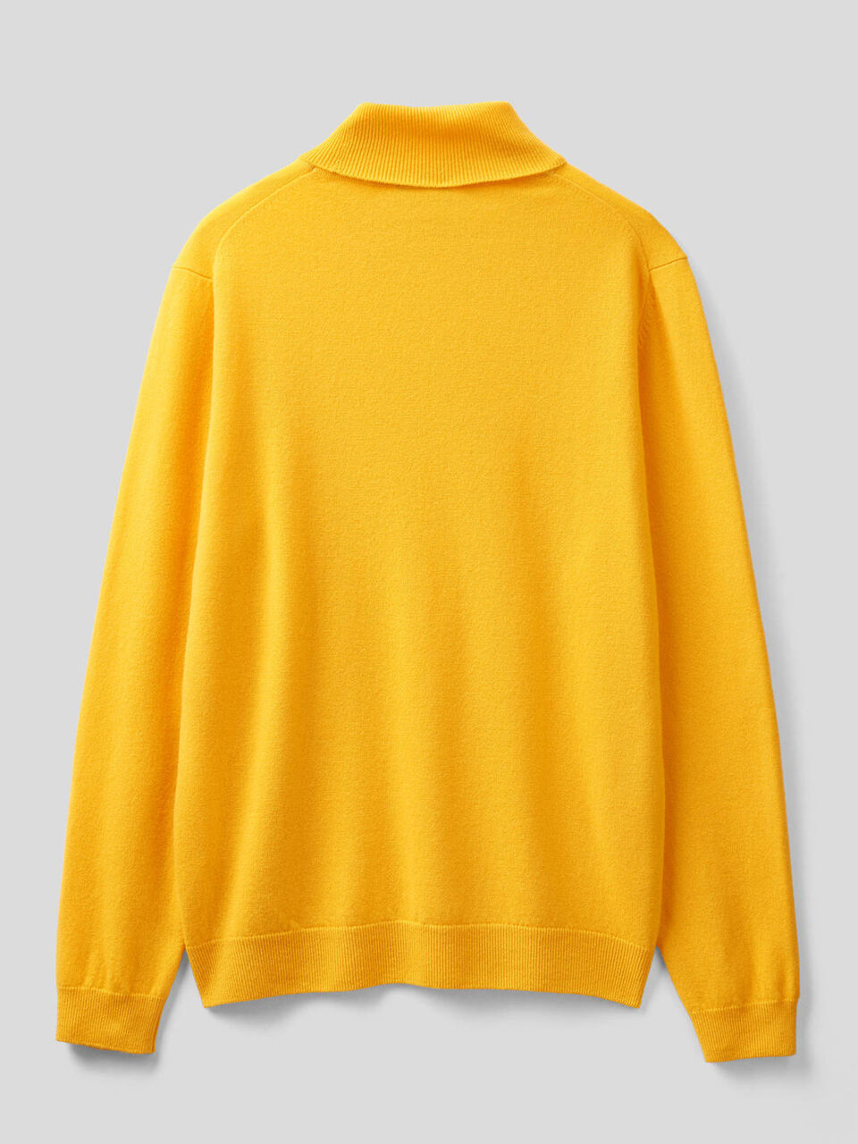 Turtleneck in pure virgin wool image number 2
