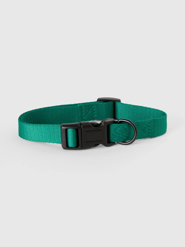 Green collar for dogs