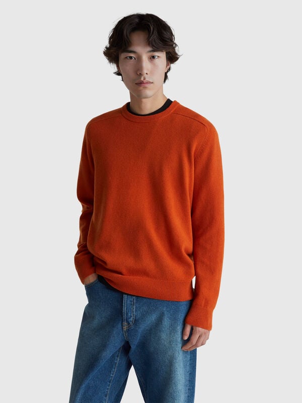 Crew neck sweater in pure Merino wool Men