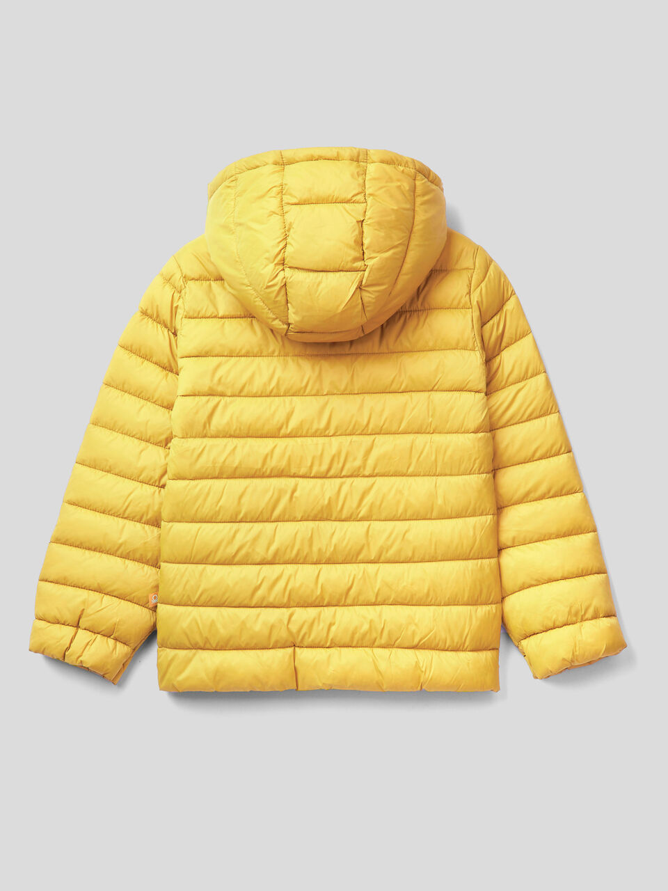 Jacket with hood in technical fabric image number 2