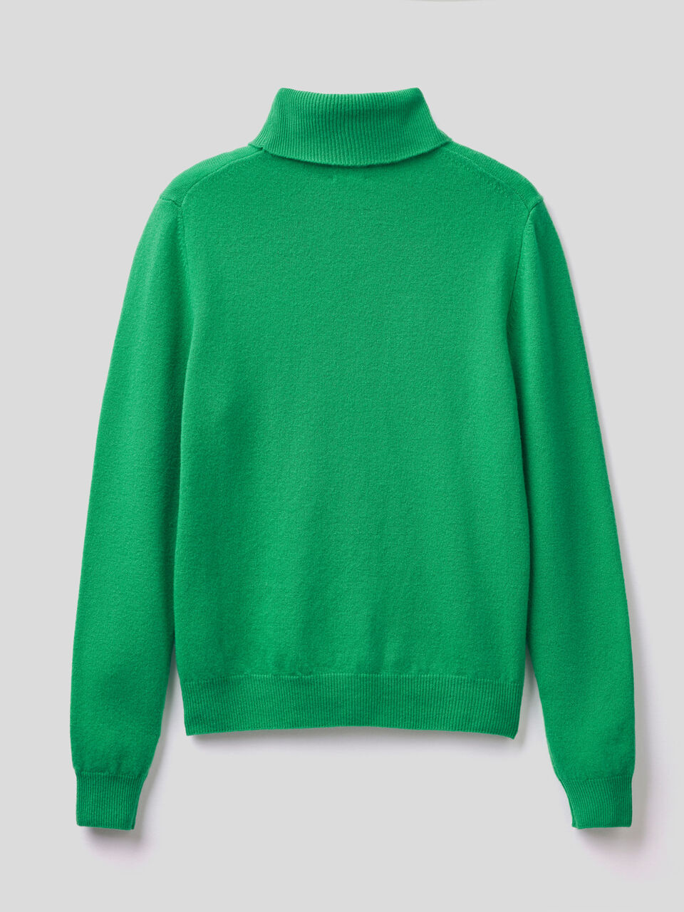 Turtleneck sweater in pure virgin wool image number null