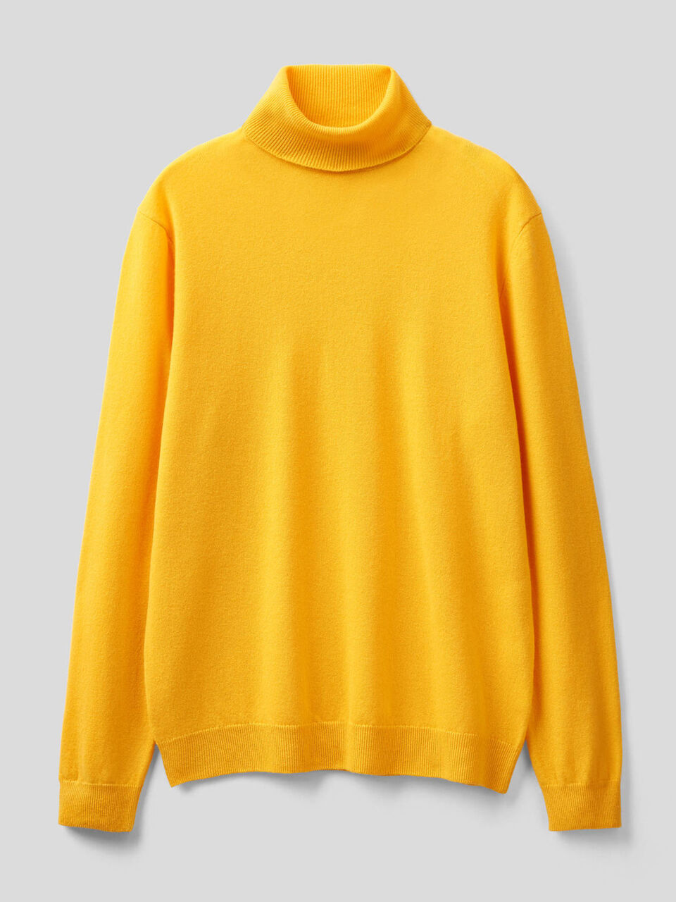 Turtleneck in pure virgin wool image number 1